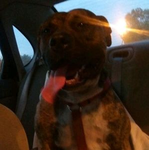 Meet your Posher, Wilson